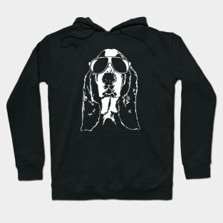 Funny Basset Hound sunglasses cool dog Hoodie